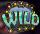 Дикий символ с надписью Wild